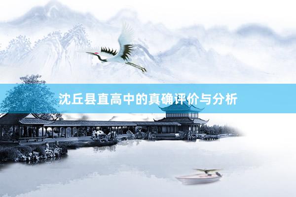 沈丘县直高中的真确评价与分析