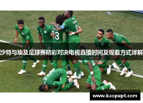 沙特与埃及足球赛精彩对决电视直播时间及观看方式详解