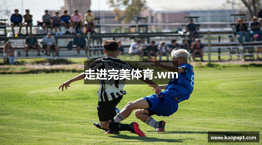 走进完美体育.wm